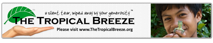 Please help the Tropical Breeze / TheTropicalBreeze.org